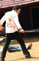 NTR Photos in Dammu